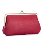 pochette cuir haut de gamme VUIERRCLE